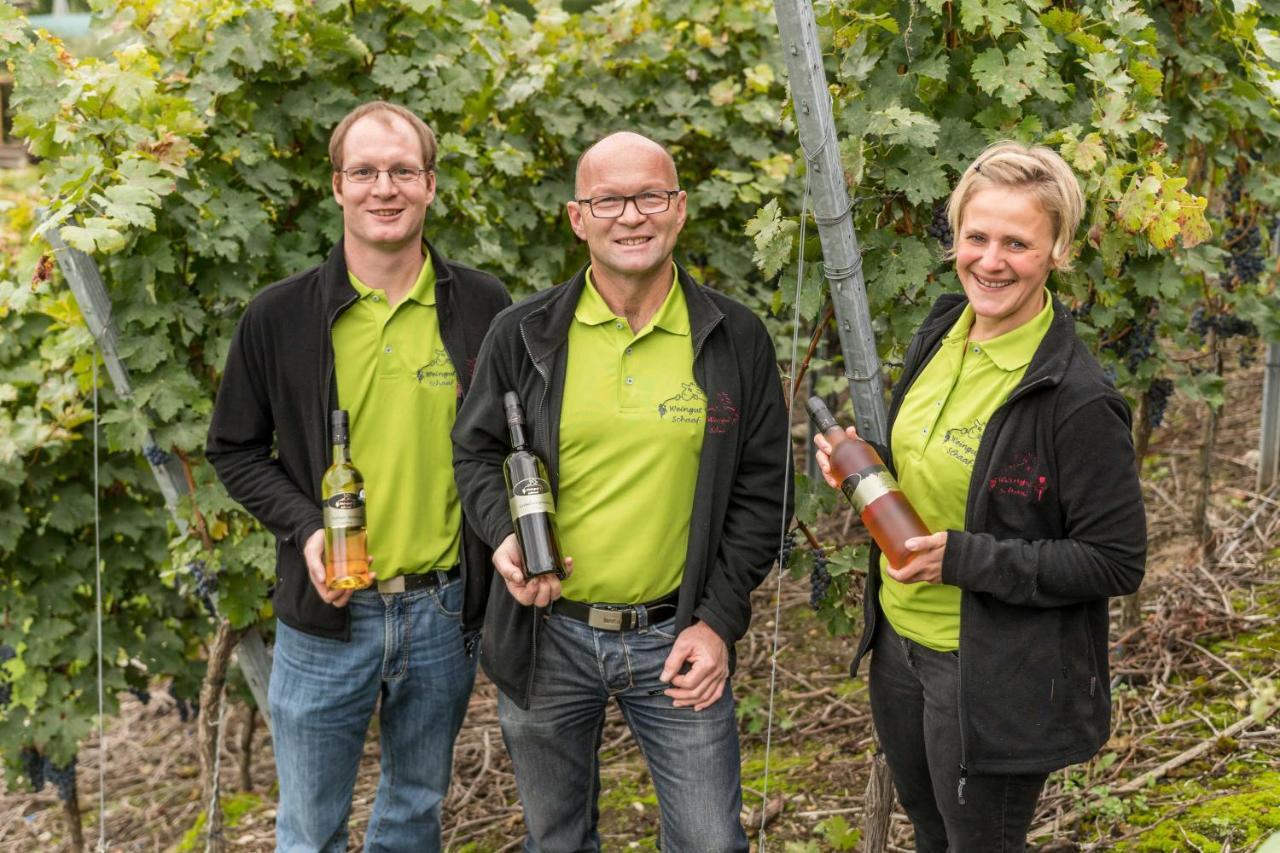 Weingut Schaaf Διαμέρισμα Lauffen am Neckar Εξωτερικό φωτογραφία
