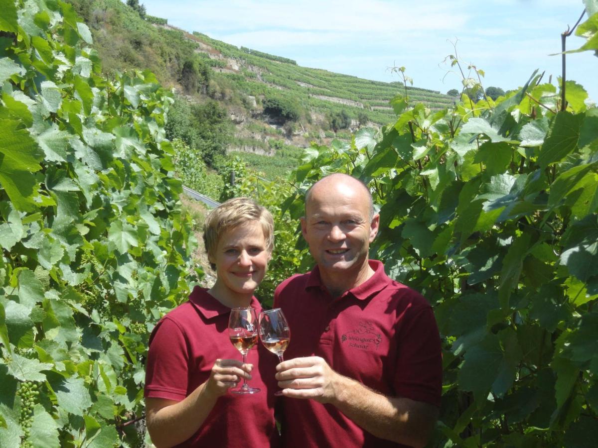 Weingut Schaaf Διαμέρισμα Lauffen am Neckar Εξωτερικό φωτογραφία