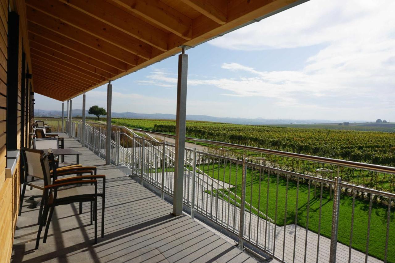 Weingut Schaaf Διαμέρισμα Lauffen am Neckar Εξωτερικό φωτογραφία